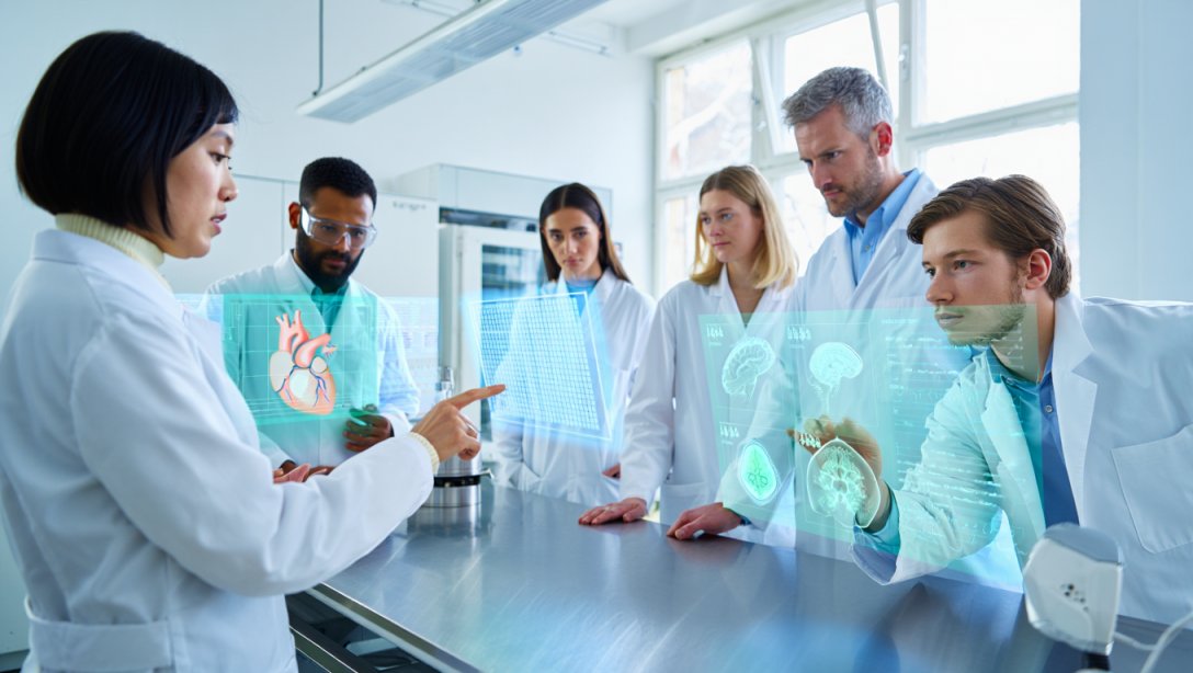 The Hidden Rhythms Shaping Our Health