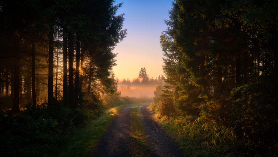 Stress: The Invisible Sculptor of Our Well-Being